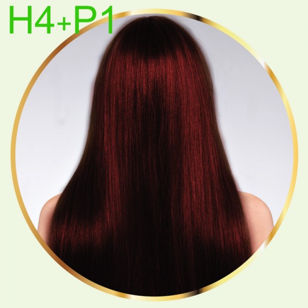 H4 Dark Red Powder 25g + P1 Hair Paste 100g